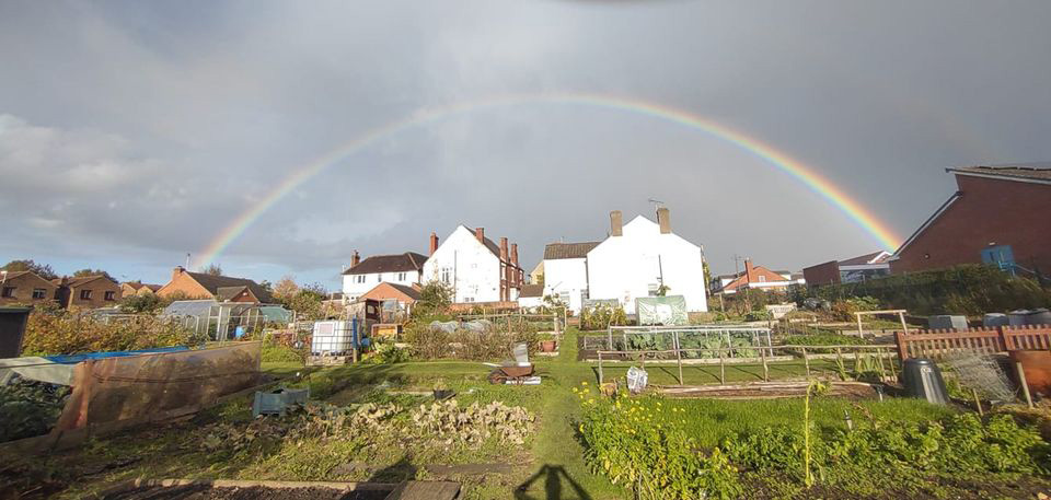 Photo of Sandham Lane Allotments, with a rainbow in the sky.